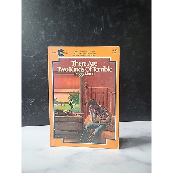 There Are Two Kinds Of Terrible By Peggy Mann Paperback - Picture 1 of 10
